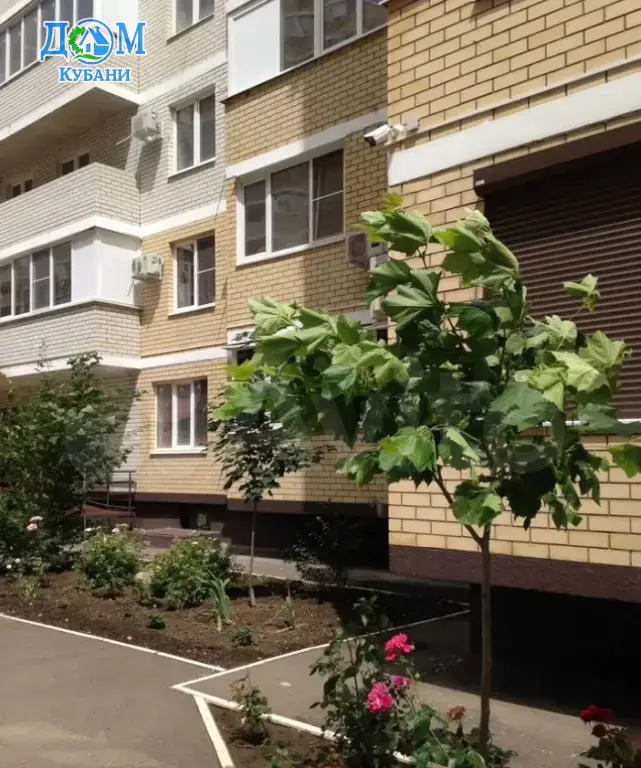 Купить 1-комн. Квартиру, 43 м²