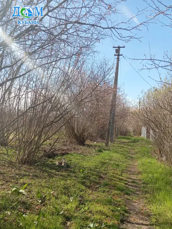 Купить участок С/Х назначения, 6.51 сот.