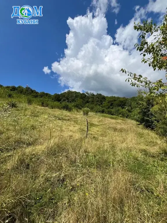 Купить участок Поселения (ИЖС), 74 сот.